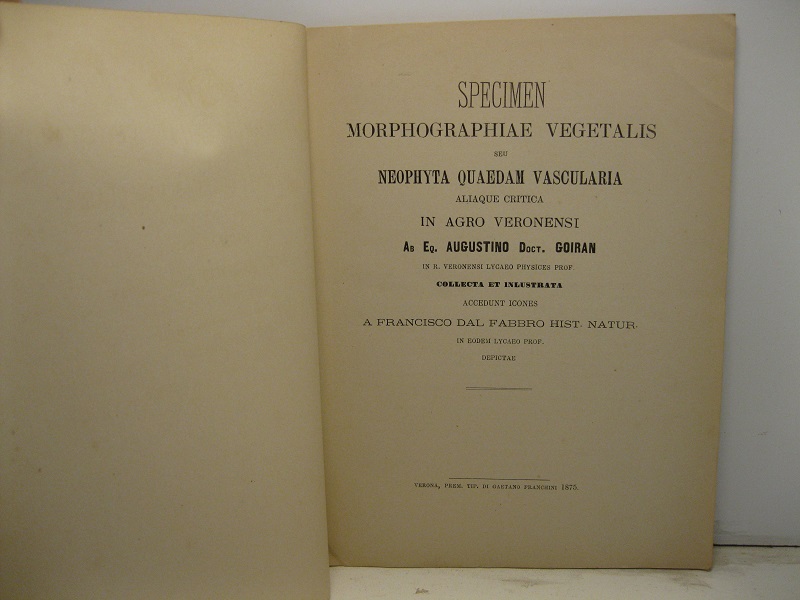 Specimen morphographiae vegetalis seu neophyta quaedam vascularia aliaque critica in agro Veronensi collecta et inlustrata